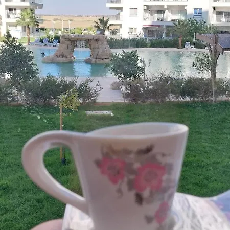 Pool View With Facilities Apartment